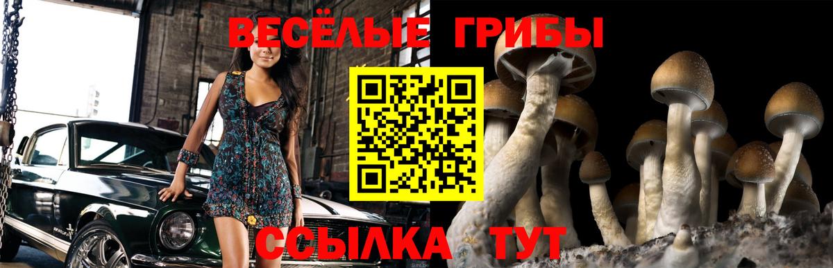 где купить наркотик  Псилоцибиновые грибы мицелий  Вход с VPN  Галлюциногенные грибы мицелий  Среднеуральск 