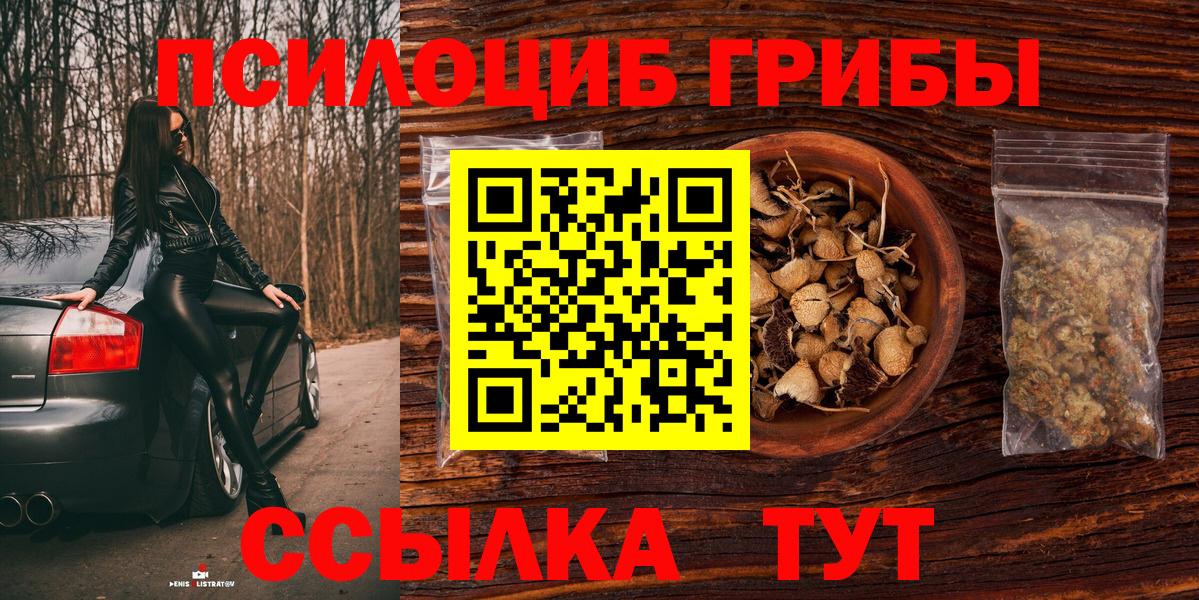 Галлюциногенные грибы Psilocybine cubensis Среднеуральск